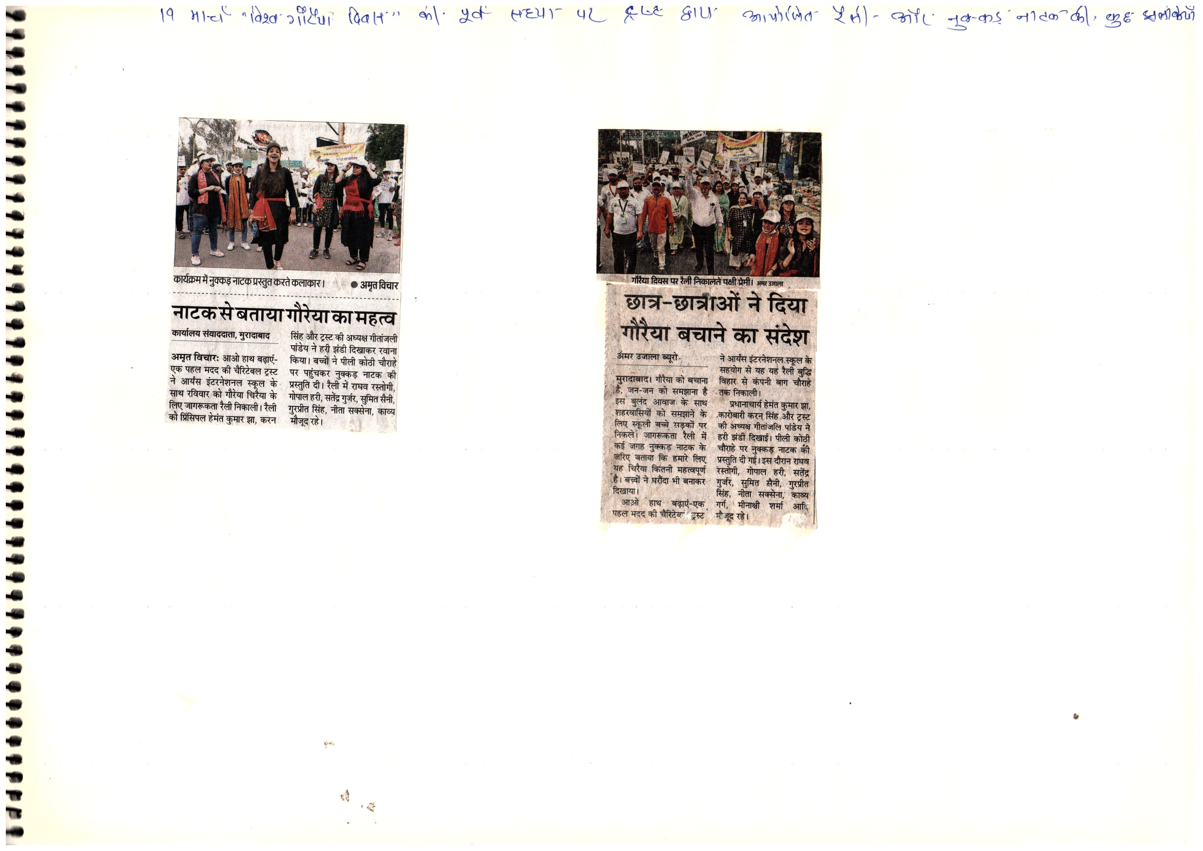 Media Image
